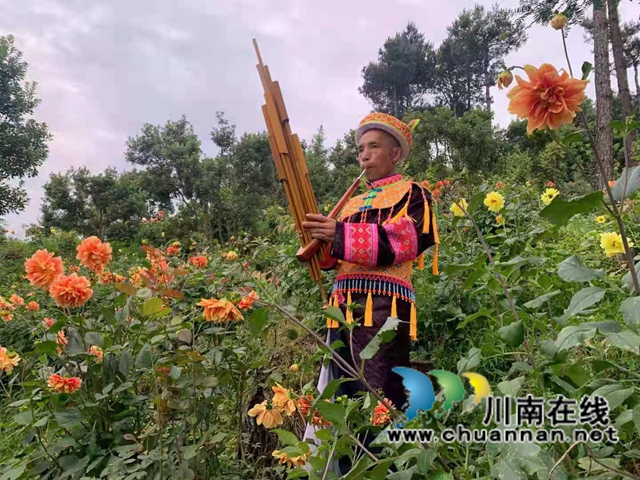 古藺苗族同胞古美倫：大山深處的苗家致富帶頭人