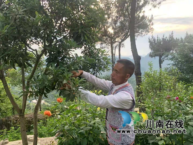 古藺苗族同胞古美倫：大山深處的苗家致富帶頭人(圖2)