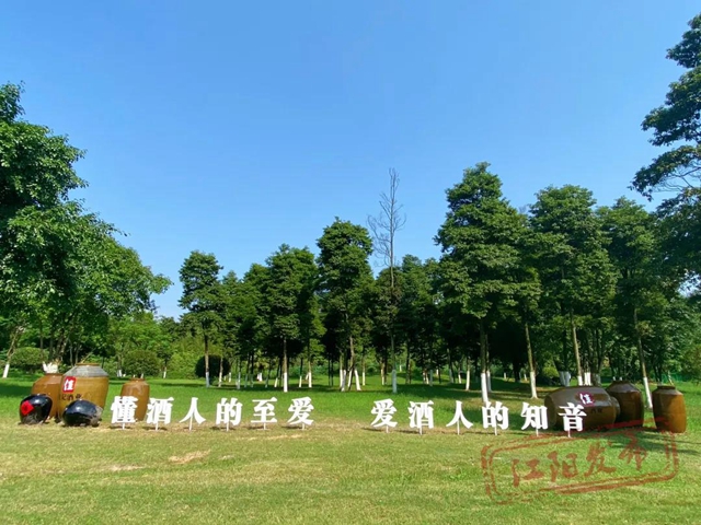有酒、有景、有故事，瀘州這條“寶藏路”你來打卡了沒？(圖7)