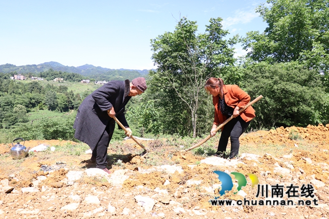 古藺大寨鄉(xiāng)：眾人拾柴火焰高，苗漢齊心修路忙(圖5)