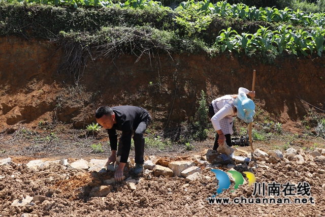 古藺大寨鄉(xiāng)：眾人拾柴火焰高，苗漢齊心修路忙(圖4)
