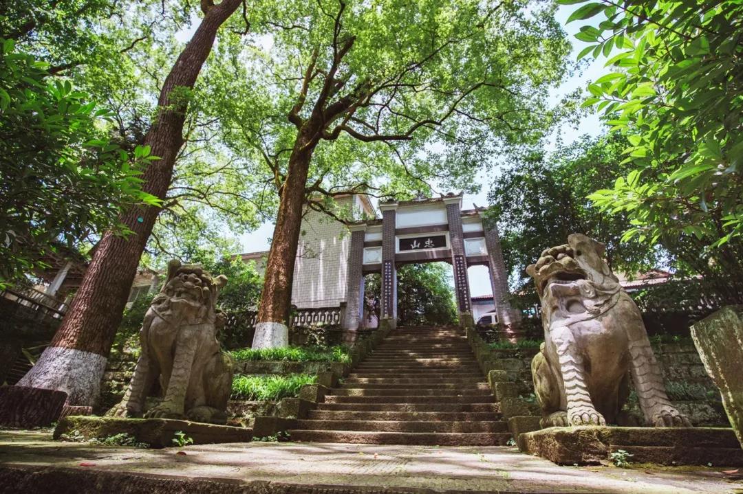 【圍觀】瀘州市忠山新路標(biāo)，好颯！(圖3)