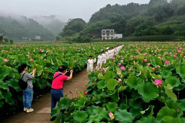 瀘州這些地方的荷花太美了！(圖9)