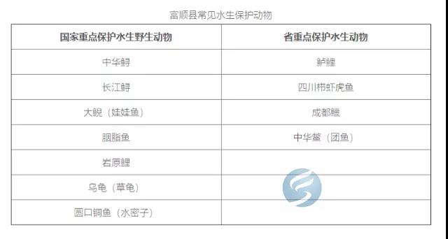 注意！富順天然水域垂釣出新規(guī)，這些一定要注意！(圖4)