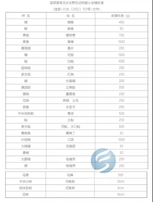 注意！富順天然水域垂釣出新規(guī)，這些一定要注意！(圖6)