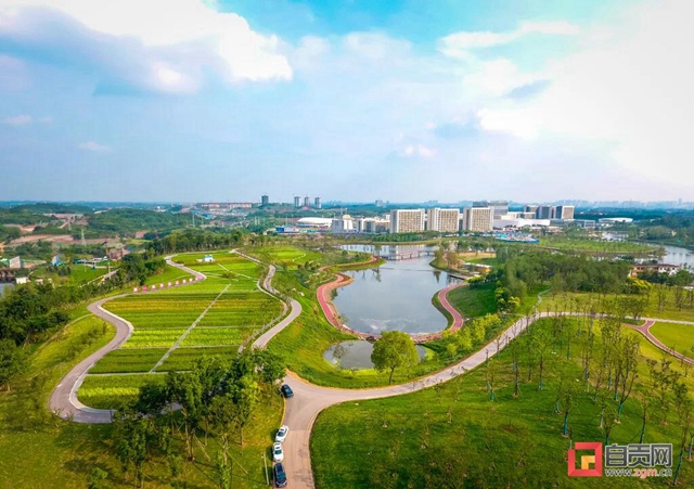 占地超50萬(wàn)平方米！自貢新添一座“高顏值”濕地公園(圖2)