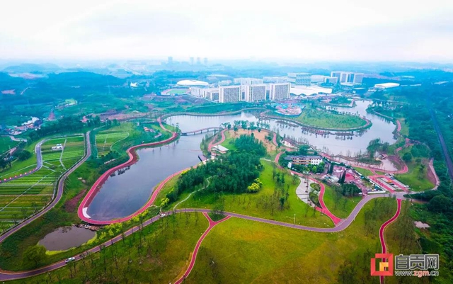 占地超50萬(wàn)平方米！自貢新添一座“高顏值”濕地公園(圖1)