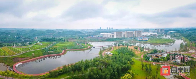 占地超50萬(wàn)平方米！自貢新添一座“高顏值”濕地公園(圖6)