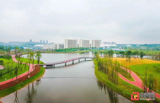占地超50萬(wàn)平方米！自貢新添一座“高顏值”濕地公園(圖7)
