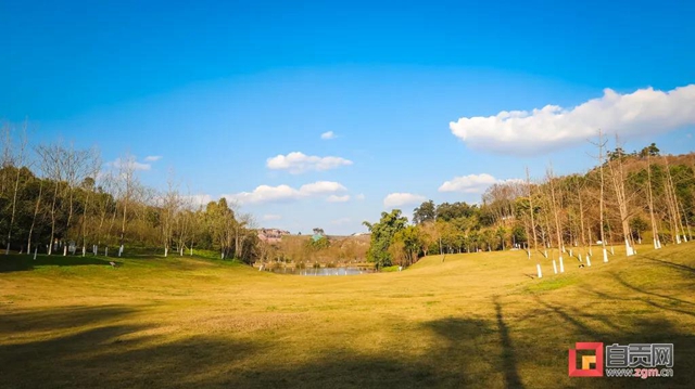 占地超50萬(wàn)平方米！自貢新添一座“高顏值”濕地公園(圖20)