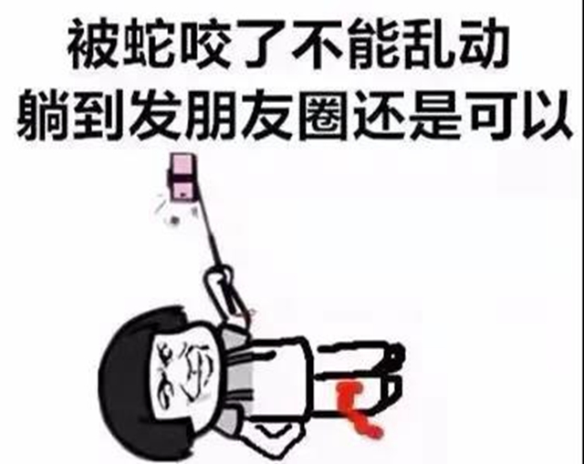 【圍觀】毒蛇頻繁出沒(méi)！瀘州8人被咬傷入院……(圖11)
