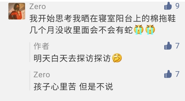 【圍觀】毒蛇頻繁出沒(méi)！瀘州8人被咬傷入院……(圖14)