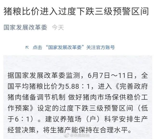 國家發(fā)改委發(fā)出生豬價格有關(guān)預(yù)警，意味著什么？(圖1)