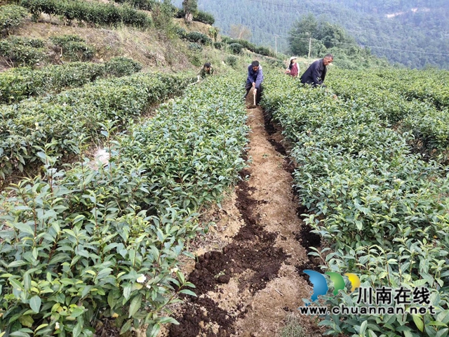 古藺：生態(tài)環(huán)境保護(hù)忙，苗鄉(xiāng)處處氣象新(圖18)