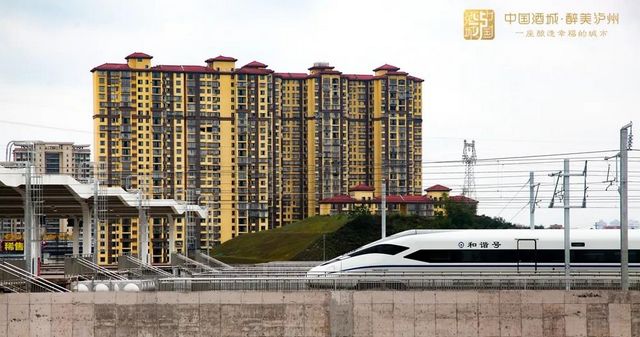 通車在即！一大波美圖帶你見證瀘州高鐵從無到有！(圖16)