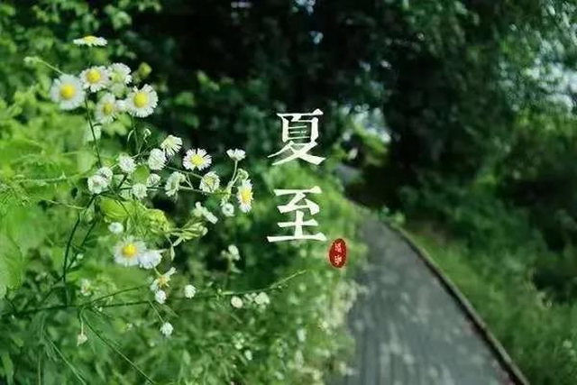 【夏至】今天開(kāi)始，多吃“苦味”食物！(圖4)