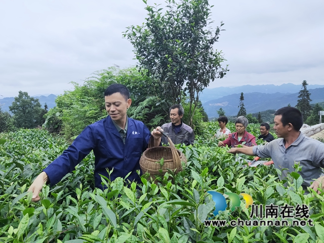 古藺鄉(xiāng)賢人士吳興杰：退伍不褪色，帶領(lǐng)群眾致富奔小康(圖3)