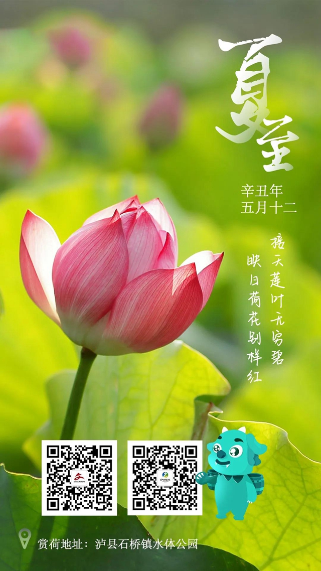 收好這份瀘州寶藏清涼打卡地指南！(圖1)
