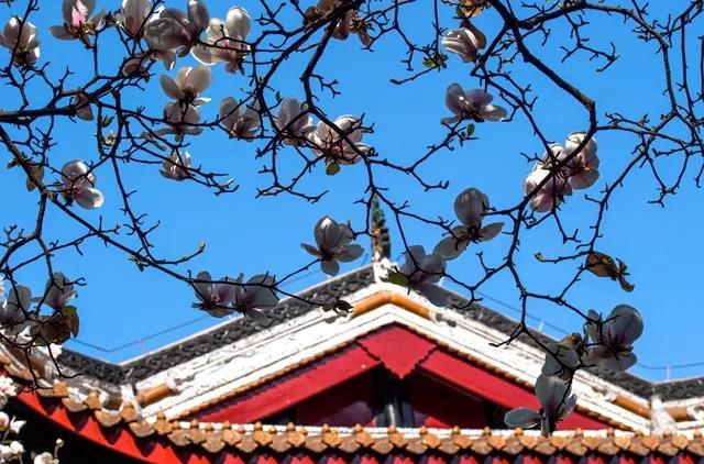 敘永：“秀”色可餐 “味”你而來！網(wǎng)紅打卡來了！(圖3)