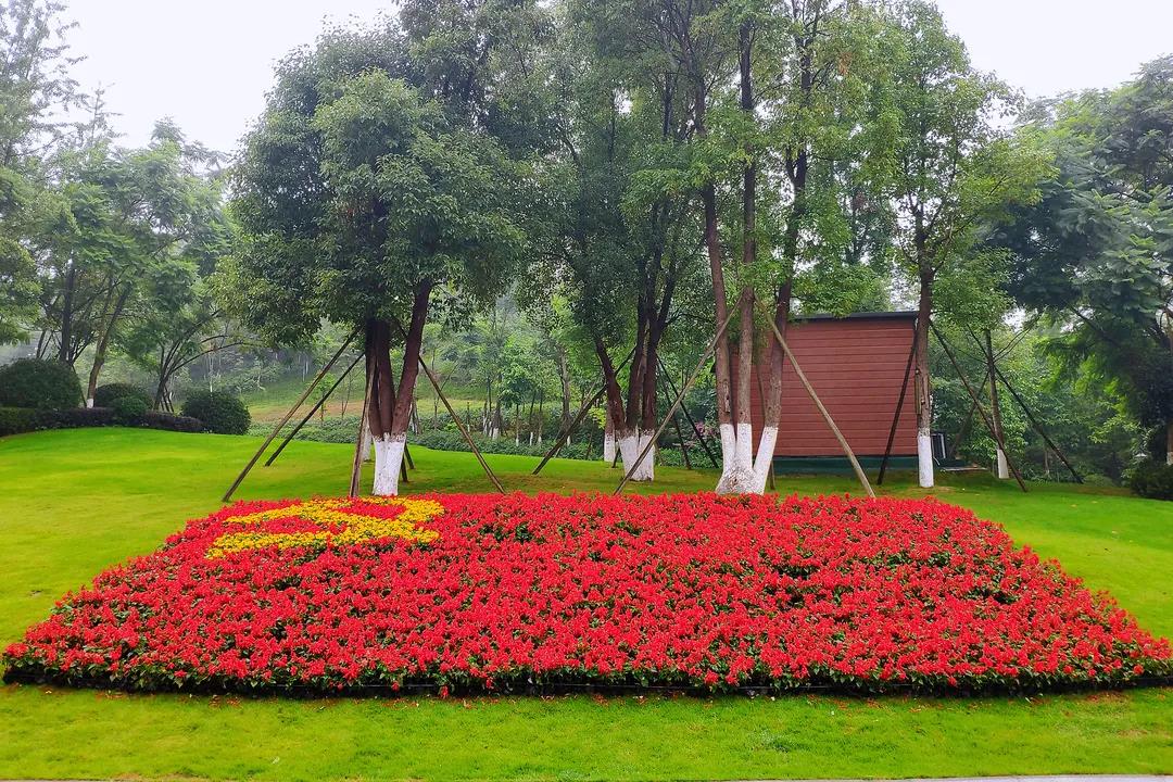 紅船亮相、鮮花裝飾……瀘州忠山公園、百子圖、大梯步“七一”氛圍濃(圖3)