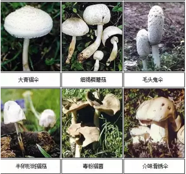 【擴(kuò)散】最強(qiáng)降雨來(lái)襲！好多人都遭了？(圖14)