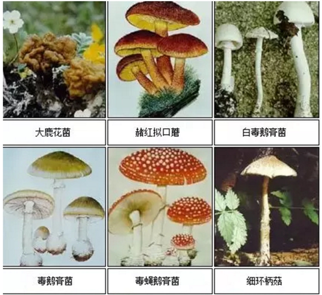 【擴(kuò)散】最強(qiáng)降雨來(lái)襲！好多人都遭了？(圖13)
