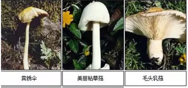 【擴(kuò)散】最強(qiáng)降雨來(lái)襲！好多人都遭了？(圖15)