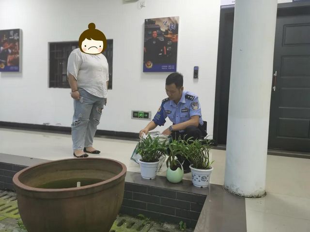 合江堯壩：民警一條微信，破解金釵石斛丟失謎團(tuán)！(圖4)