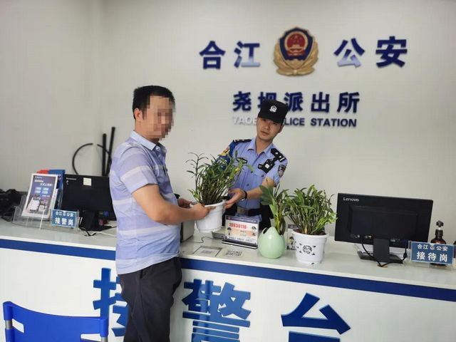 合江堯壩：民警一條微信，破解金釵石斛丟失謎團(tuán)！(圖5)