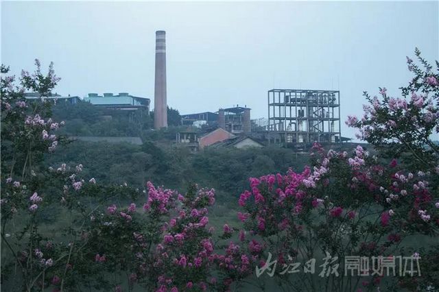 內(nèi)江版“普羅旺斯”神秘面紗拉開！盛大的花海之宴開啟(圖13)
