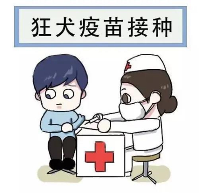 【關(guān)注】瀘州大姐被狗咬傷，傷口流膿7天難愈！(圖4)