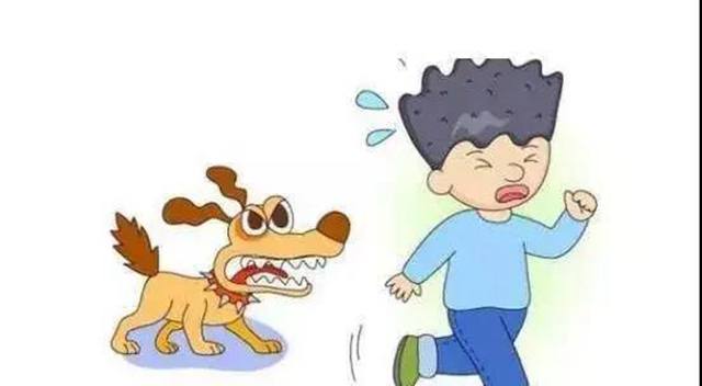 【關(guān)注】瀘州大姐被狗咬傷，傷口流膿7天難愈！(圖5)