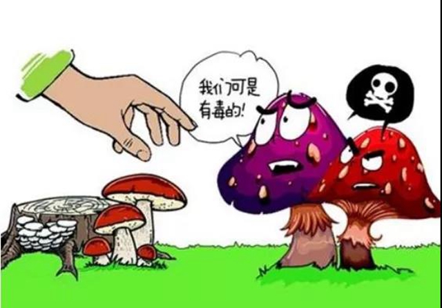 7月，瀘州市民要關(guān)注這些疾病！(圖3)