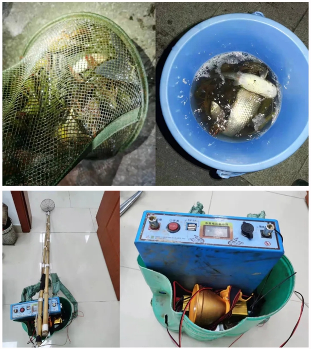 鯰魚、鯽魚、小龍蝦，瀘州男子深夜電魚被抓，只因兒子想吃……