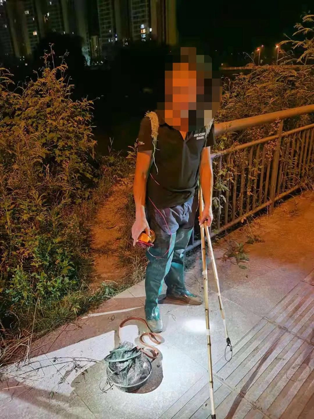 鯰魚、鯽魚、小龍蝦，瀘州男子深夜電魚被抓，只因兒子想吃……(圖2)