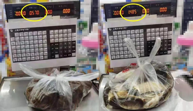 鯰魚、鯽魚、小龍蝦，瀘州男子深夜電魚被抓，只因兒子想吃……(圖3)