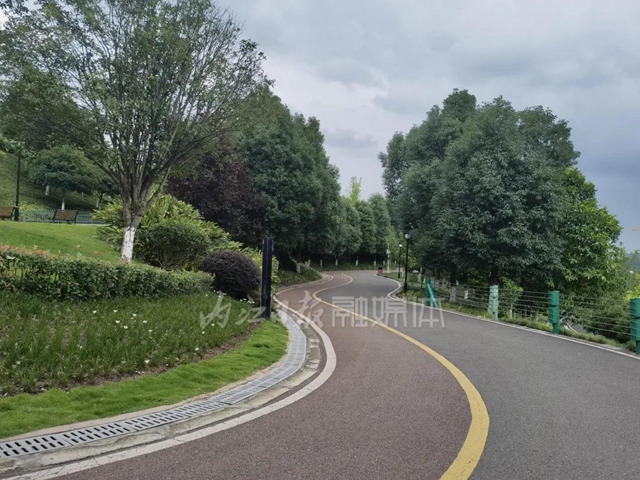 川南最大城市山地公園！愛(ài)了，這個(gè)屬于內(nèi)江人的“城市綠肺”(圖2)