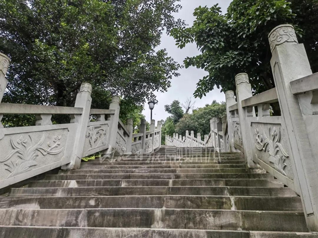 川南最大城市山地公園！愛(ài)了，這個(gè)屬于內(nèi)江人的“城市綠肺”(圖3)