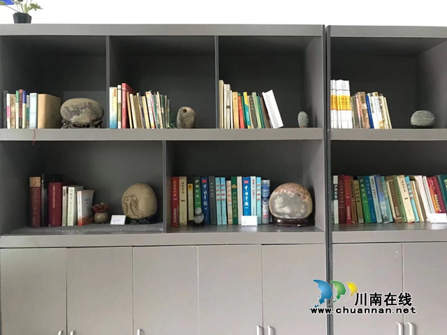 瀘州市第十二屆長江奇石文化節(jié)圓滿結(jié)束(圖8)
