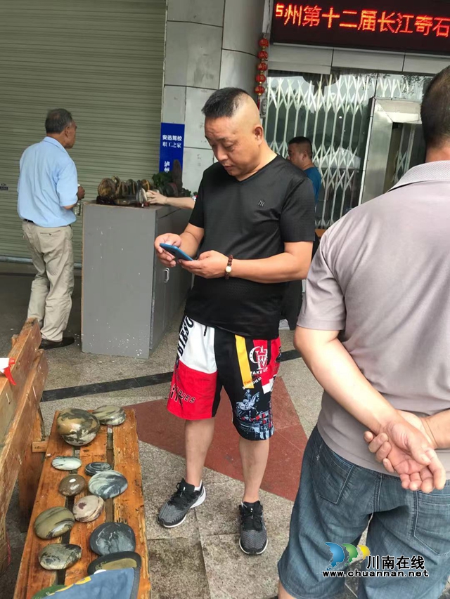 瀘州市第十二屆長江奇石文化節(jié)圓滿結(jié)束(圖7)