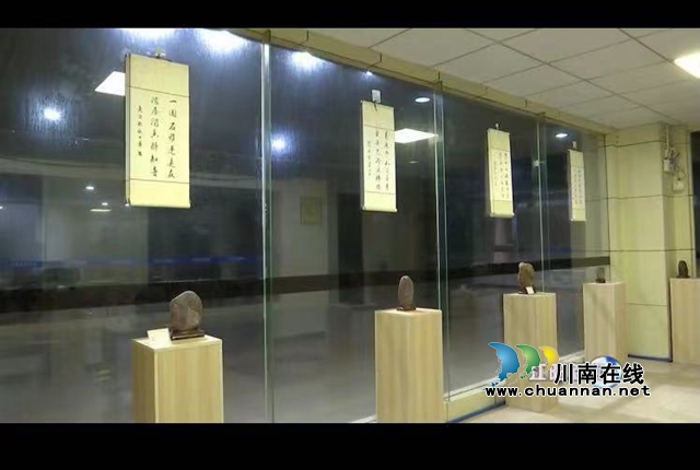 瀘州市第十二屆長江奇石文化節(jié)圓滿結(jié)束(圖6)