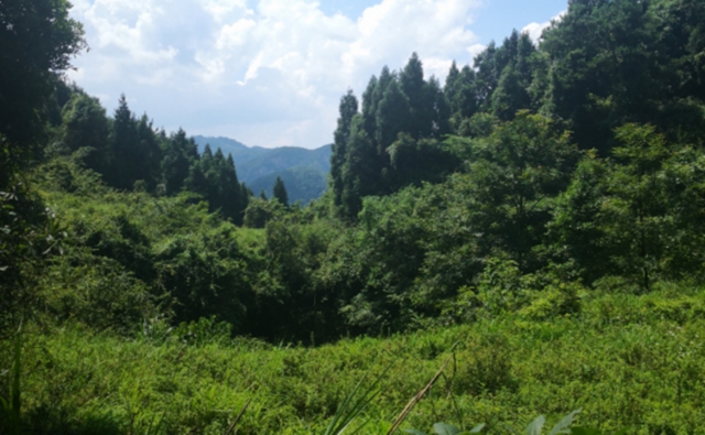 王海清：一屯兩省六十年堅守紅軍英靈(圖8)