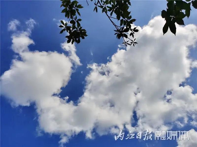 醉了！它刷爆了內(nèi)江人的朋友圈(圖7)