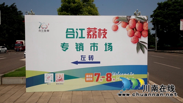 又是一年荔枝紅！合江：又見荔枝紅，市場銷售忙(圖2)