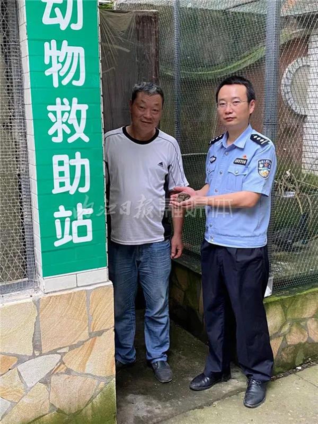 內(nèi)江市民報警：發(fā)現(xiàn)一只怪鳥！(圖2)