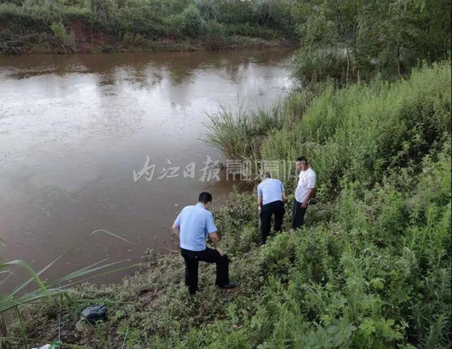 20只就犯罪！資中兩男子私捕177只蟾蜍被法辦