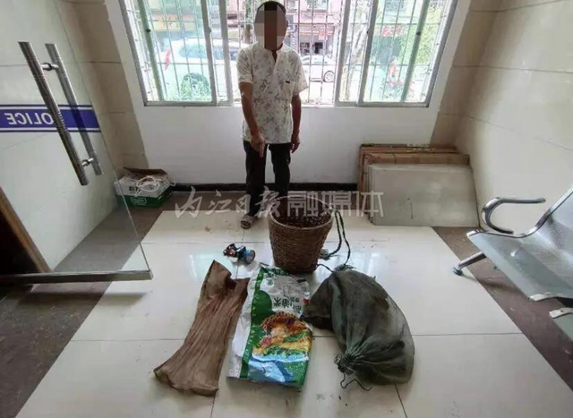 20只就犯罪！資中兩男子私捕177只蟾蜍被法辦(圖3)