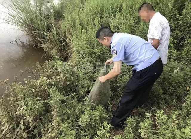 20只就犯罪！資中兩男子私捕177只蟾蜍被法辦(圖4)