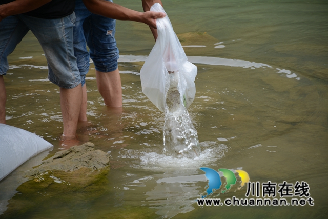 古藺：非法捕撈水產(chǎn)品，四名被告獲刑并進行補償性增殖放流(圖6)