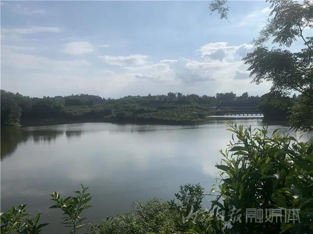 湖光山色兩相和，內(nèi)江這處“寶藏”湖泊太適合夏天出游！(圖1)